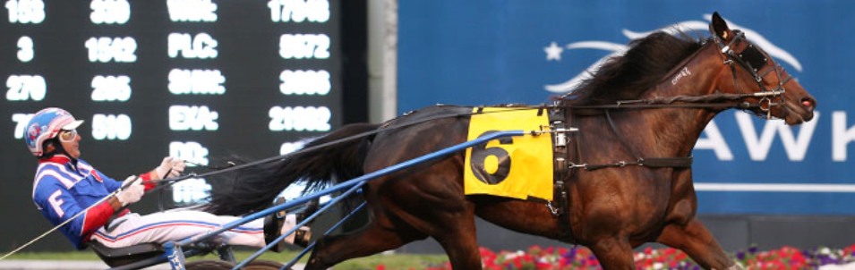 OnASunnyDayraceimagenewwebsize