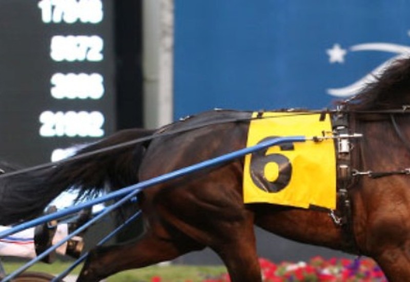 OnASunnyDayraceimagenewwebsize