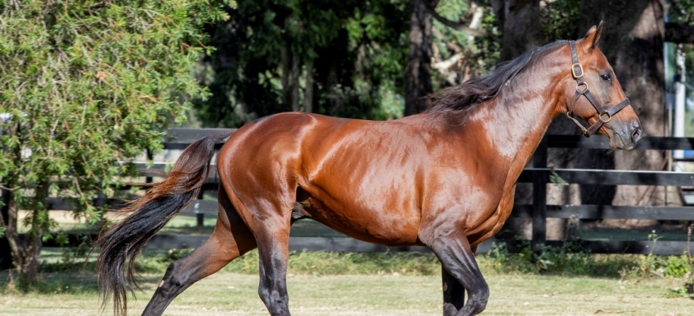 ABM25webarticleimage4 v2