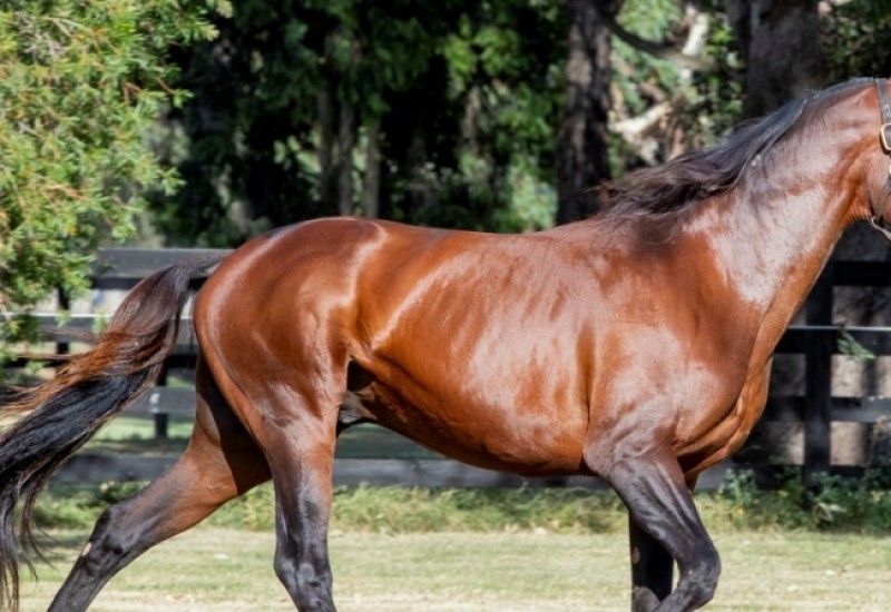 ABM25webarticleimage4