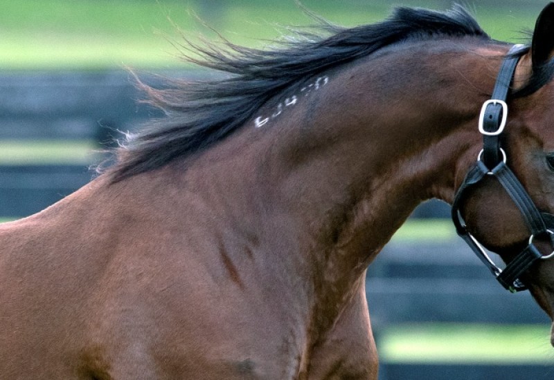 ABMwebarticlefirstwinner