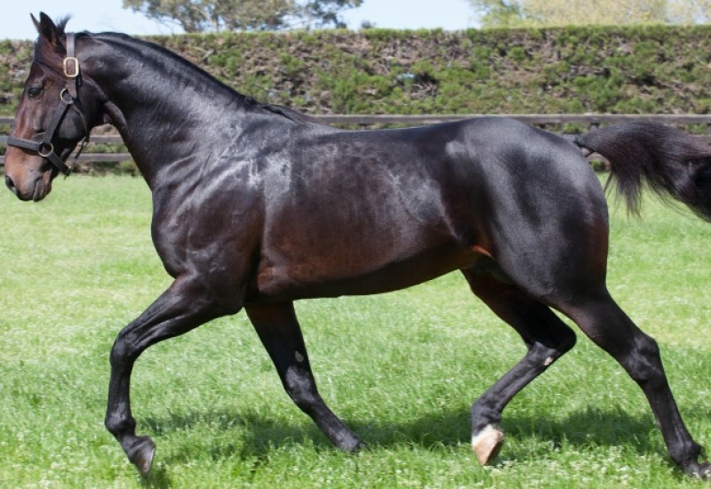 ARNRDnewsarticleaug19