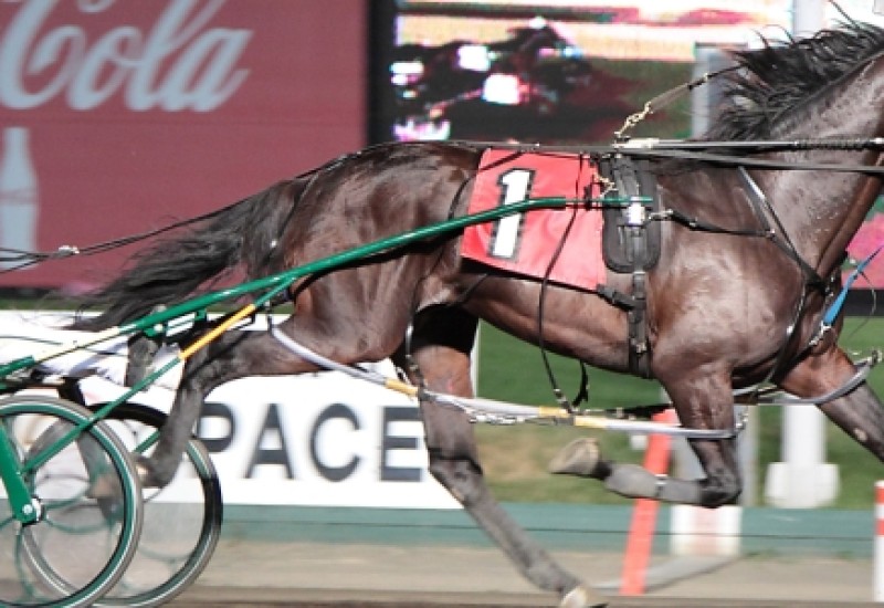 ARocknrollDancecropped