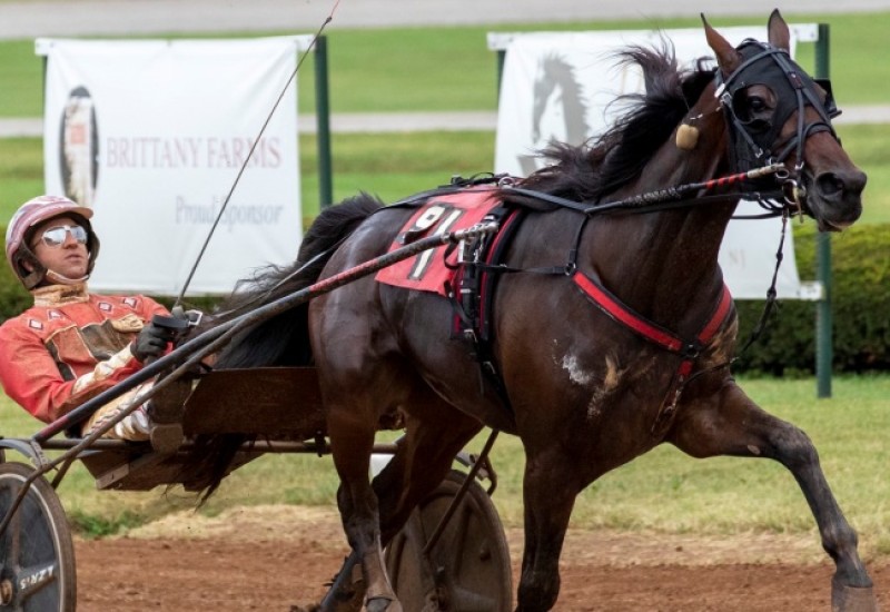 AmigoVoloKFuturityweb