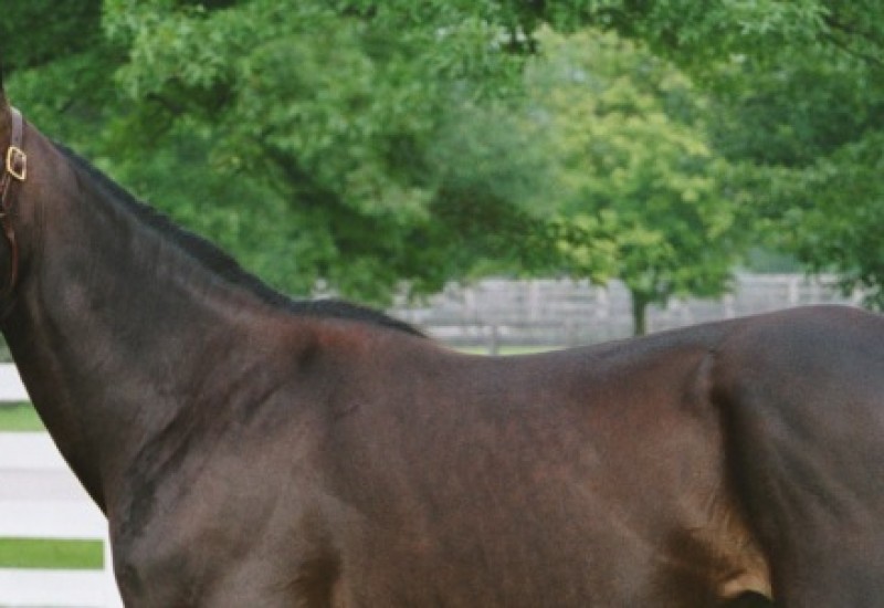 AndoverHallnewwebnews