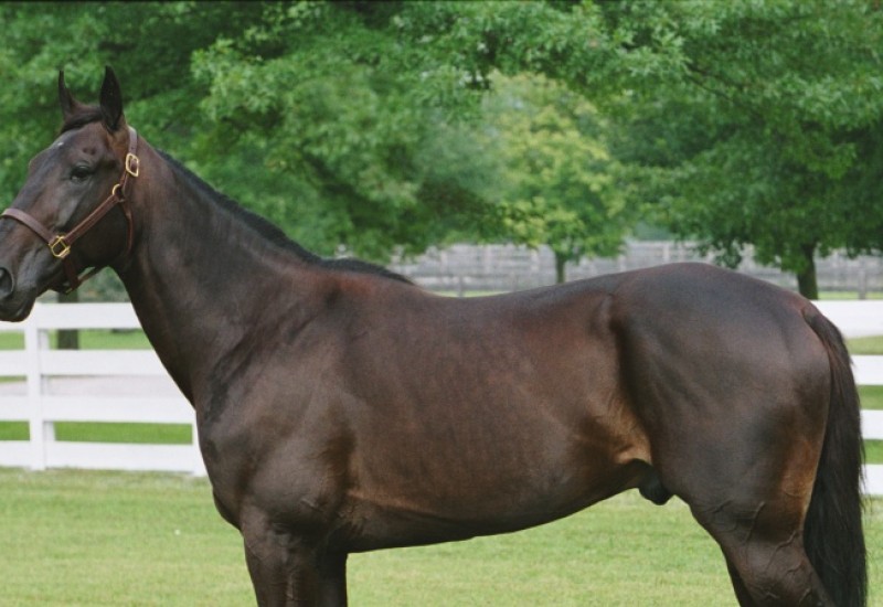 AndoverHallwebarticleMay5