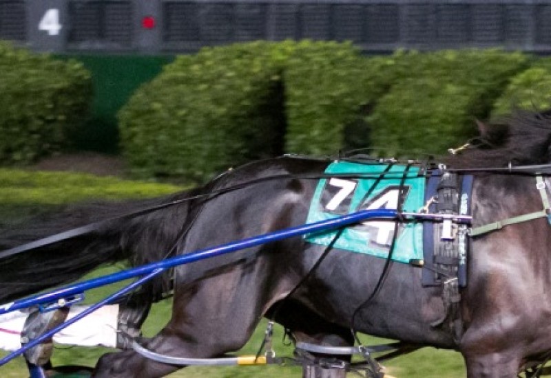 BandStandnewwebcorrectsize