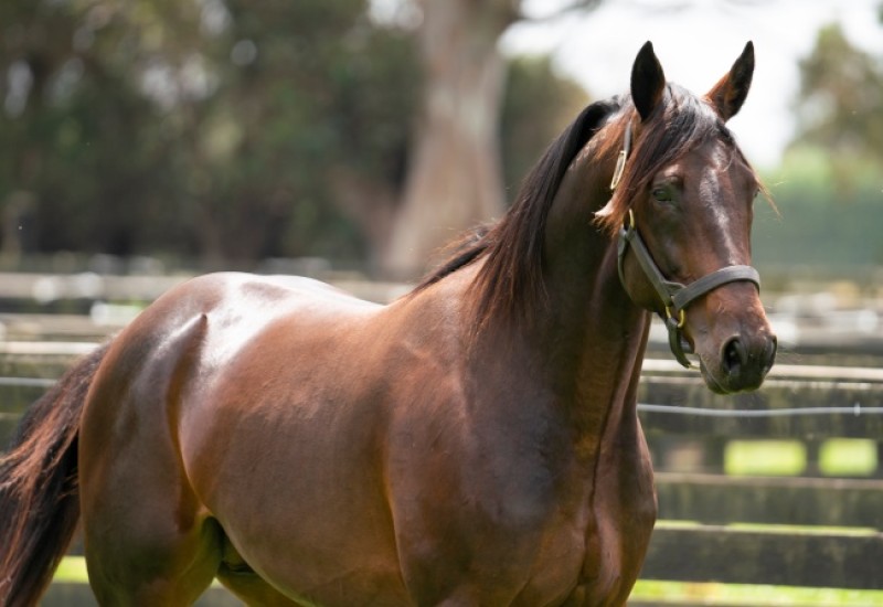 CaptainCrunch3web v3