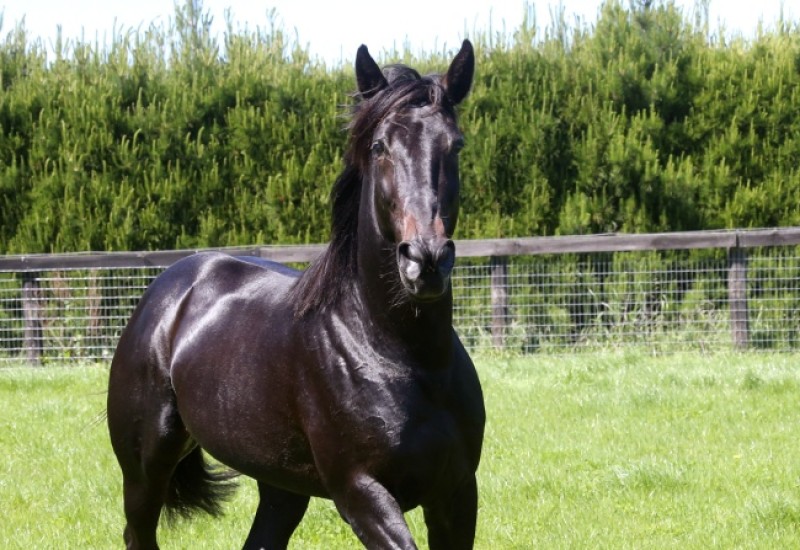 Creatine2websitenews4