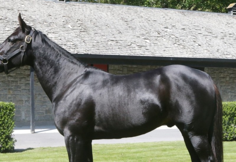 Creatinestandwebarticle