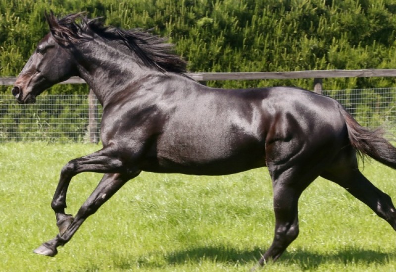 Creatinewebarticle v4