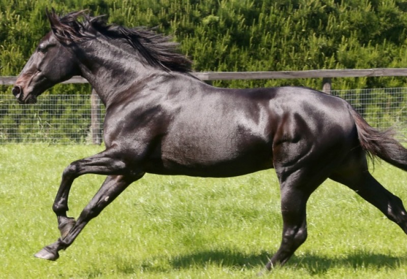 Creatinewebarticleoct2022