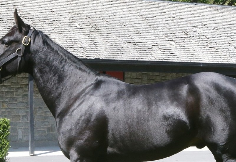 Creatinewebsitesep23