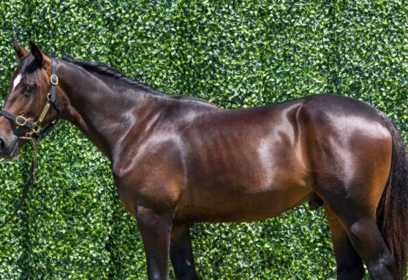 FatherPatrickLubyLoucoltweb