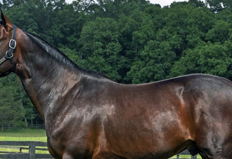 FatherPatricknewphotoweb6