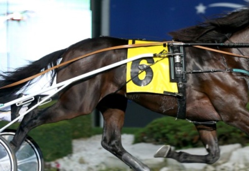 FatherPatricknewsarticlepicnewweb