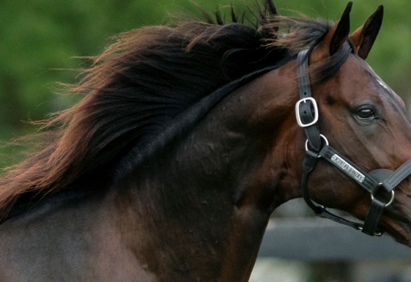 FatherPatrickwebJuly3