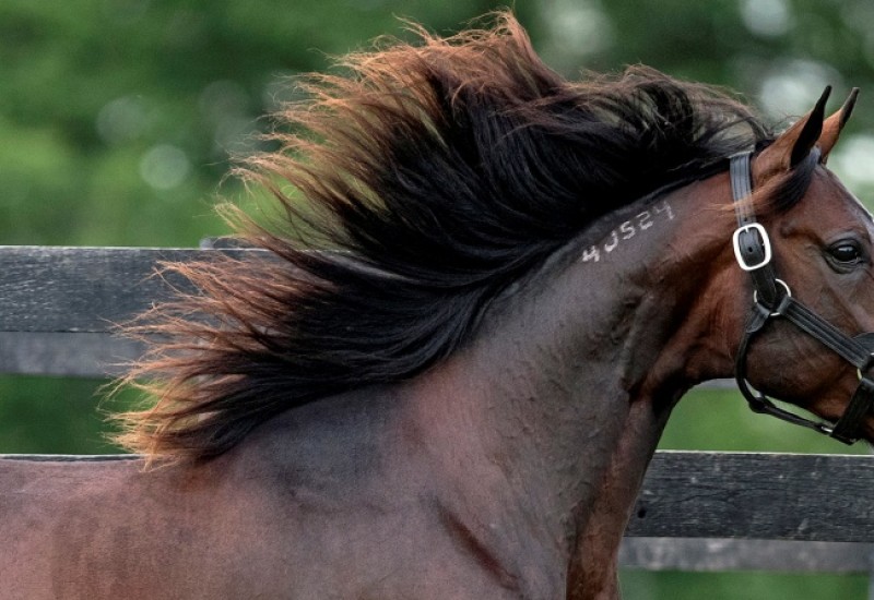 FatherPatrickwebarticleJuly16