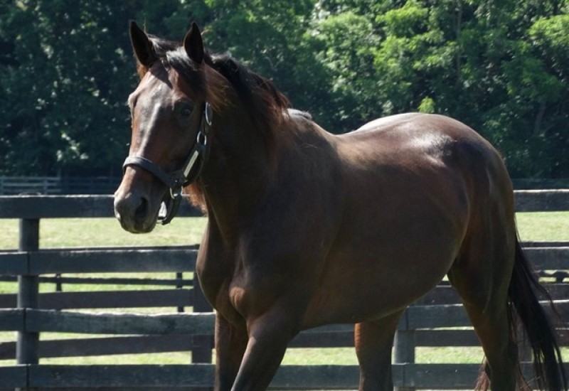 FatherPatrickwebarticle