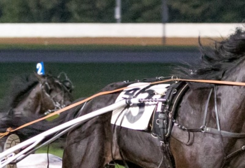 GrandTetonv1correctsize