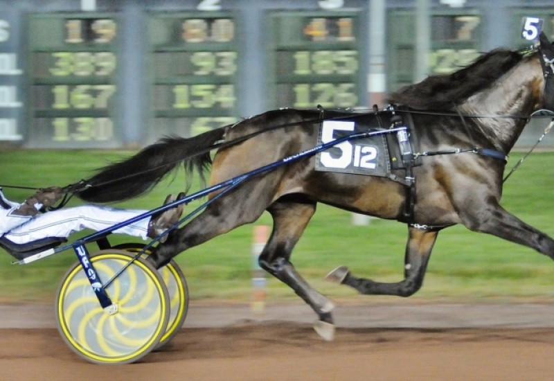 GreenshoeBealelimwebnews5