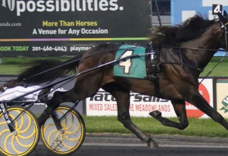 Greenshoerace1webarticle2