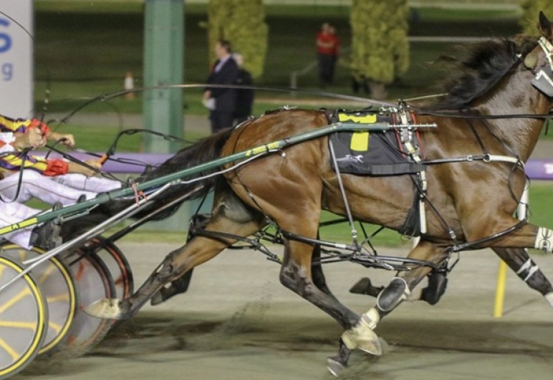 ItsRockAndRollwebnewsarticle