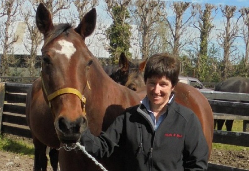 Jillwithmarecorrectsize