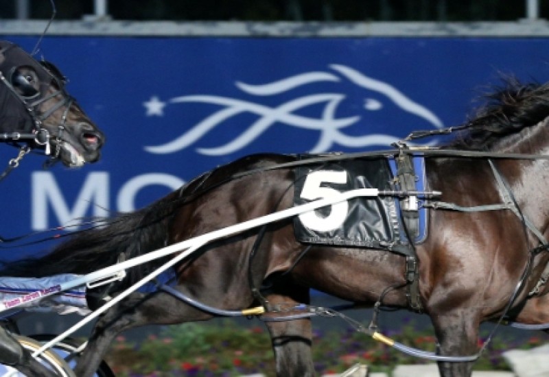 LOSTINTIMEhighresweb