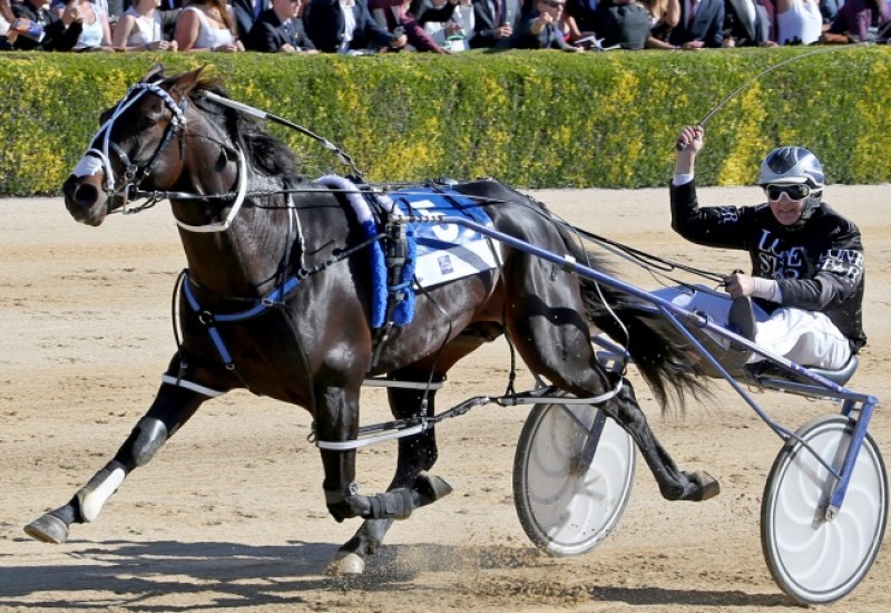 Lazarus news article