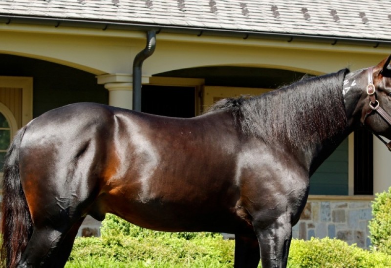 Lazwebarticleimage v7