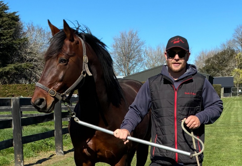 Marcoola and Brettwebarticle