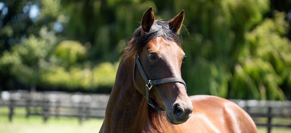 Marcoolawebimagefeb25