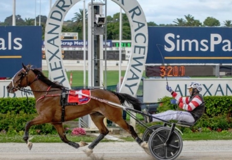 MassiveMetroNationalTrotweb2