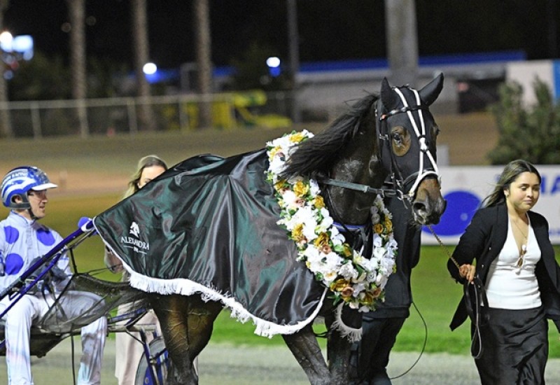 MeantToBeDerbywebarticle