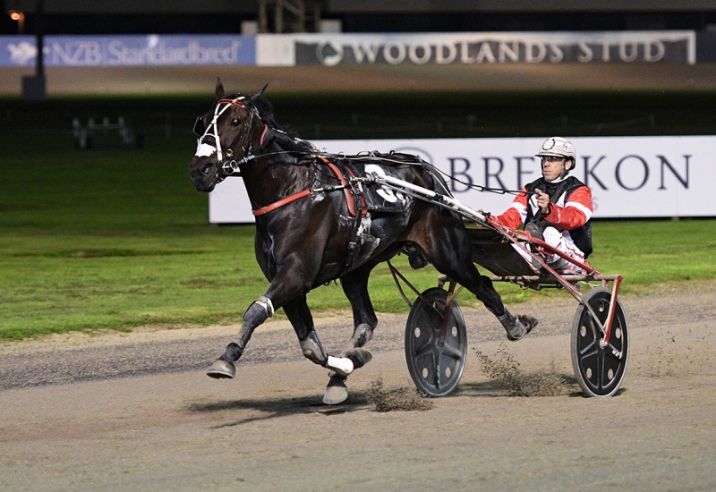 MightyLogannewwebsize