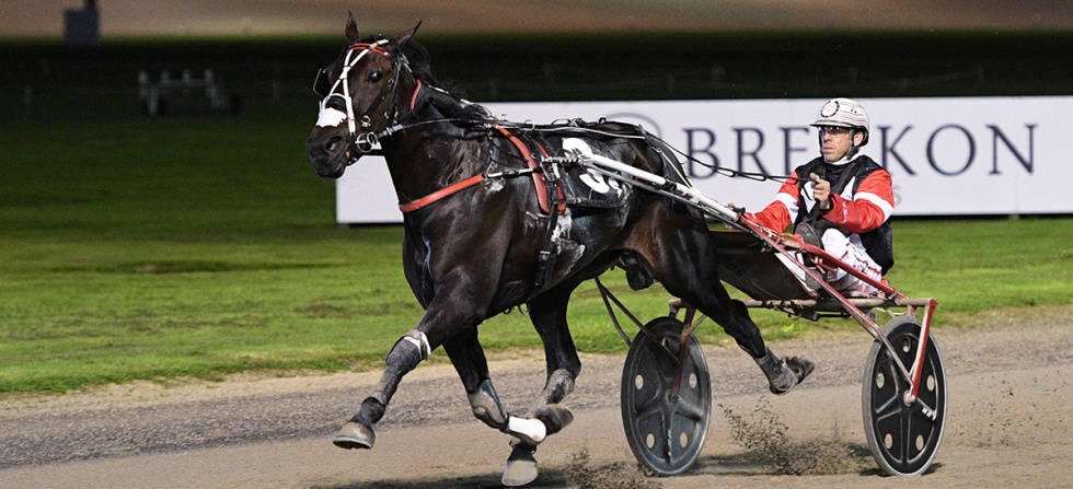 MightyLoganwebarticle2