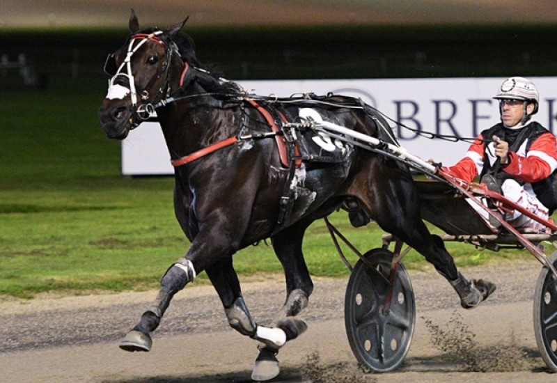 MightyLoganwebarticle2