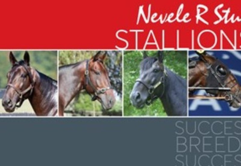 NevRBrochcov 300dpiPRINTwebsitearticle1correct