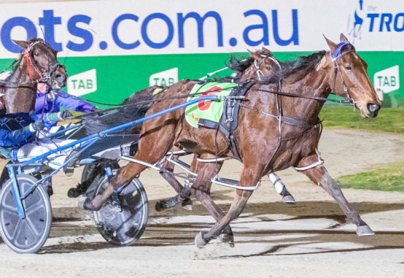 No Win No Feed 20190824web