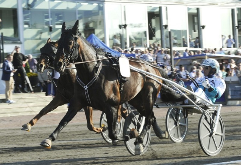 PerfectSpiritwebarticle