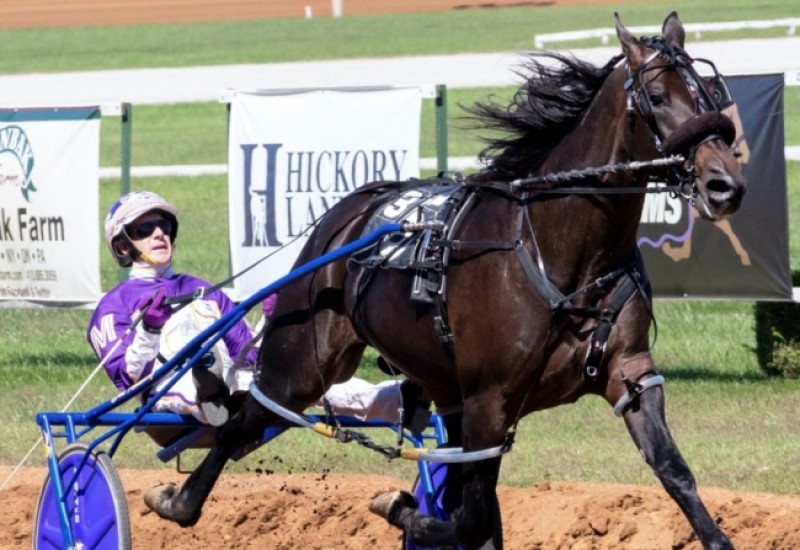 PerfectStingKYSSFinalweb