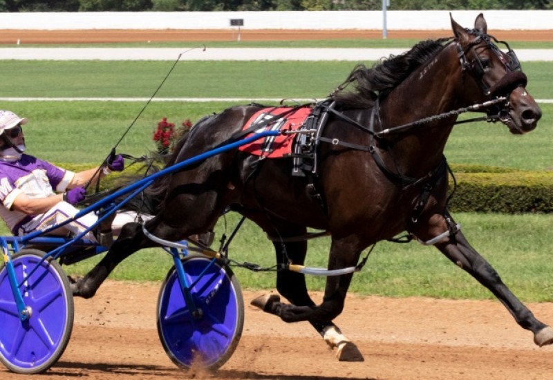 PerfectStingweboct13