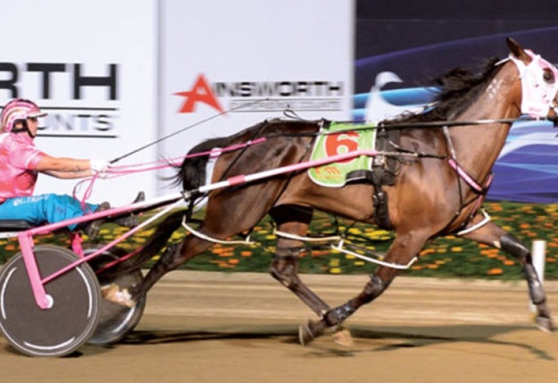 PlatinumRevolutionwebnewsarticle