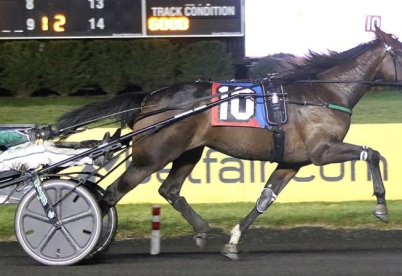 PlungeBlueChipwebnewsarticle2