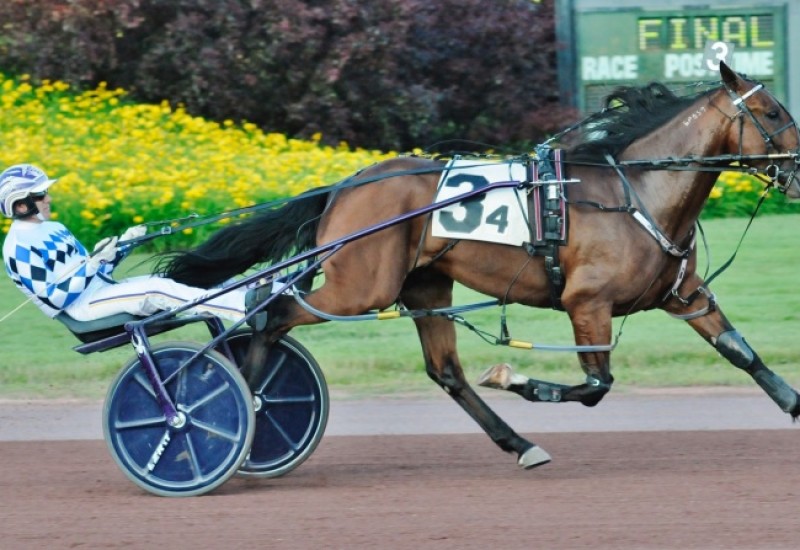 ProofHemptMemelimwebnews