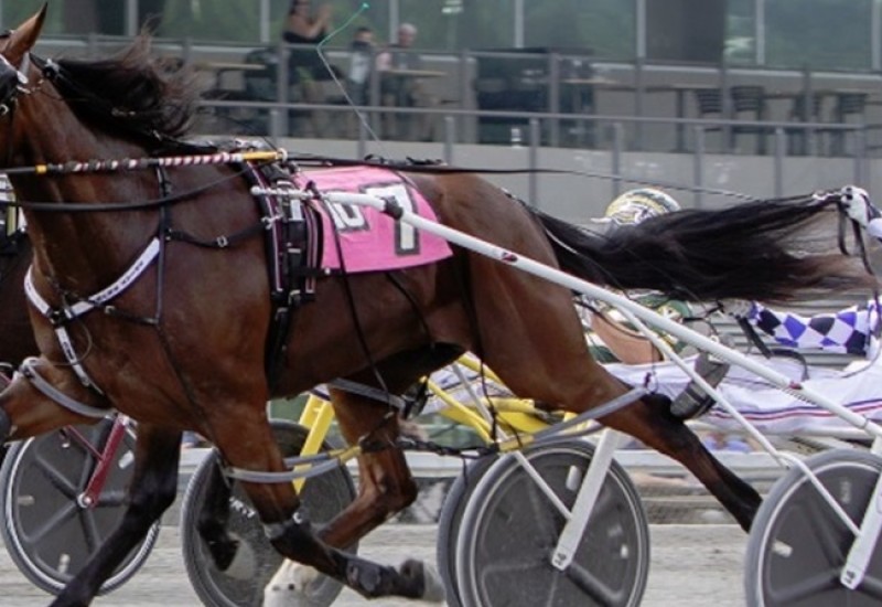 ProofPASSFinalwebarticle