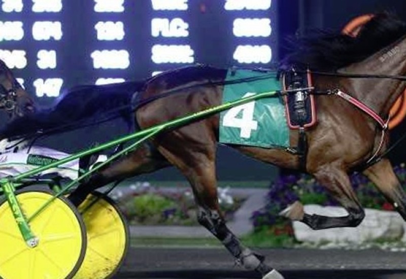 SistersPromisewebnewsarticle