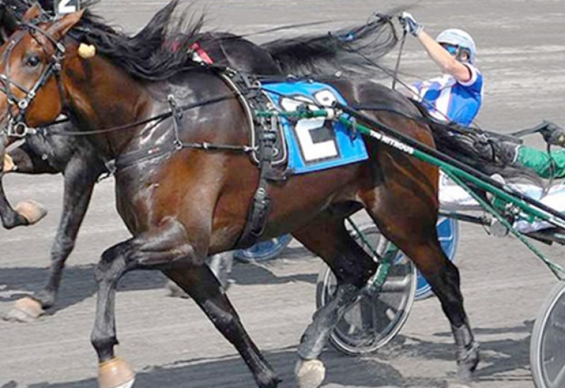 Six Pack Vernon 640pxwebarticle