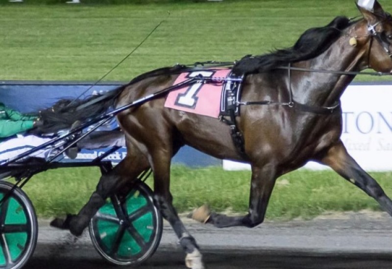 SixPackGraduatewebarticle